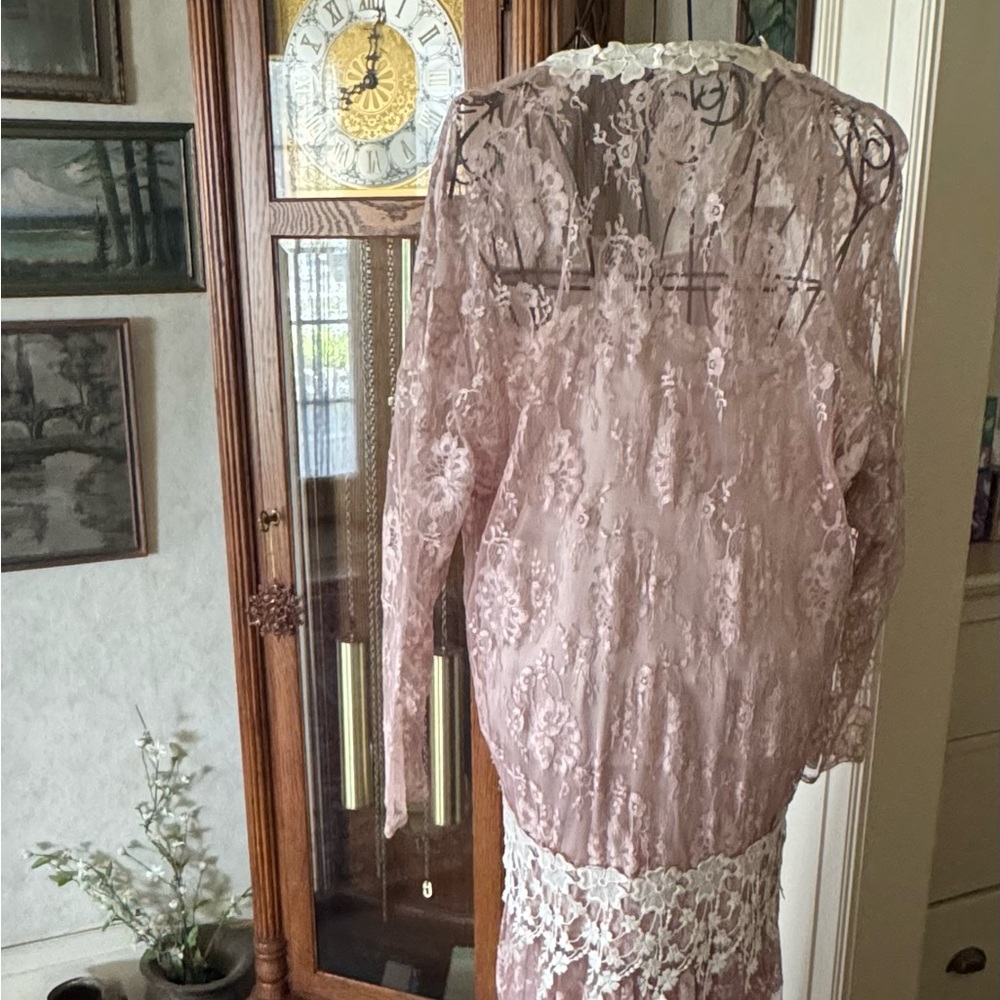 Jessica McClintock Pink Lace Dress - Picture 2 of 5
